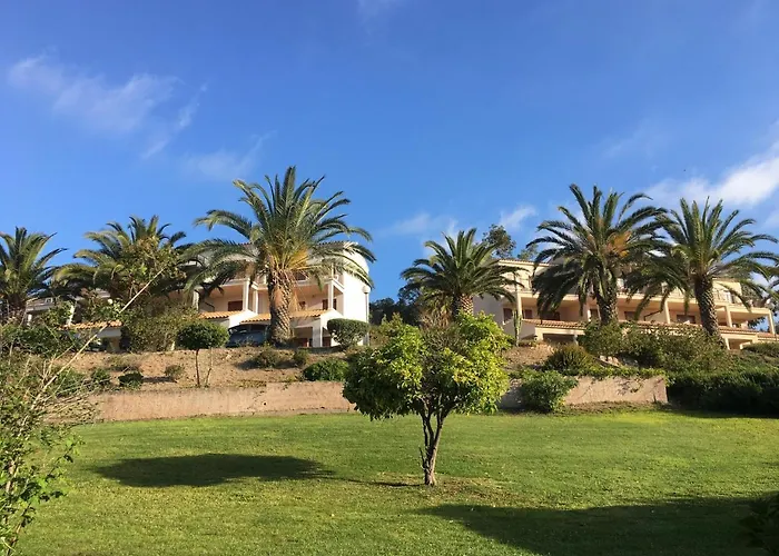 Cardellini 23 Sari-Solenzara