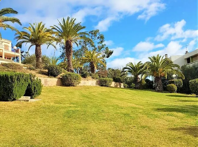 Cardellini 23 * Sari-Solenzara